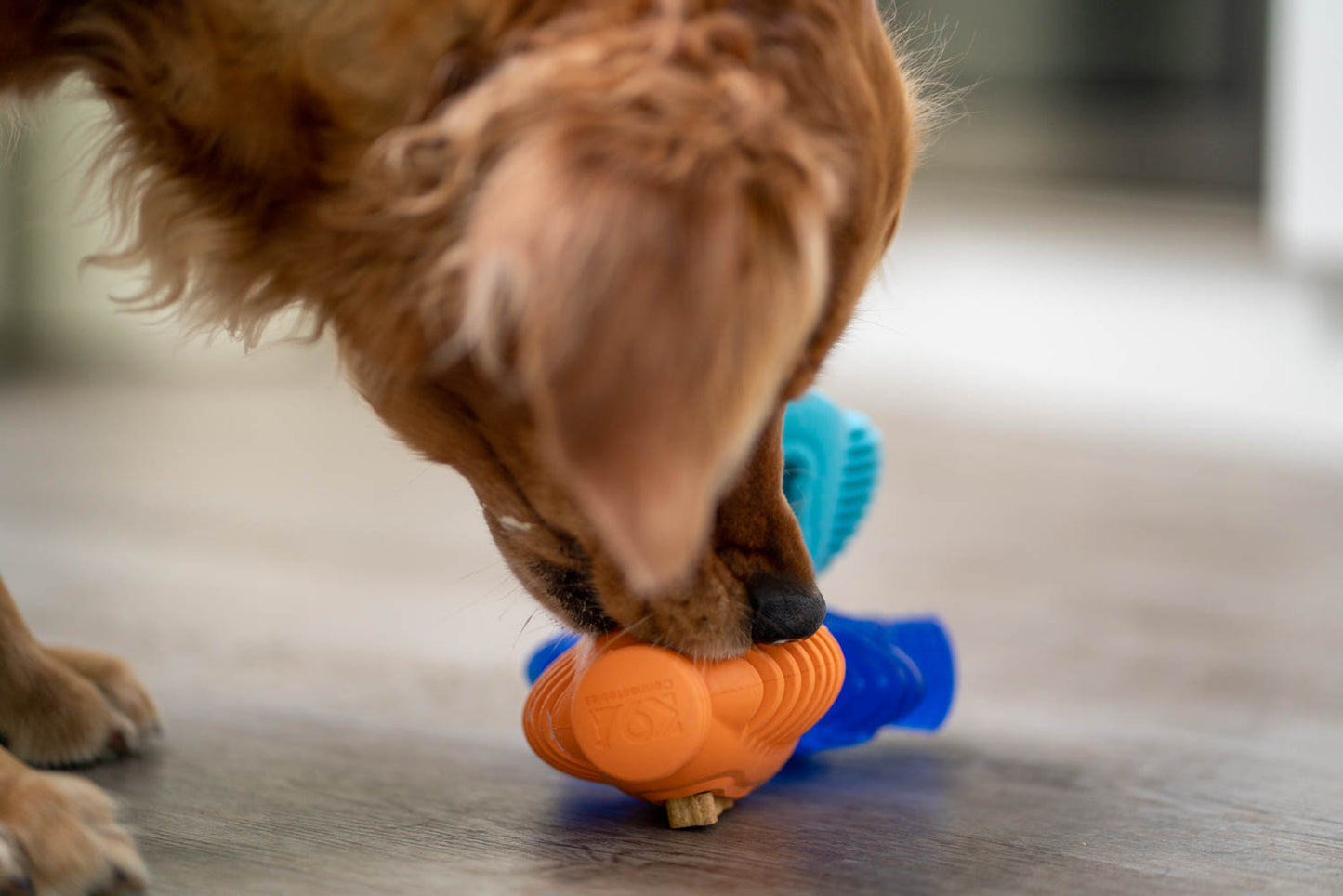 Pro Chewers Bundle