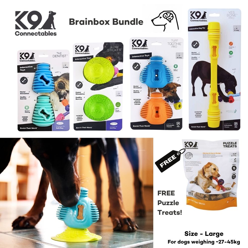Brainbox Bundle