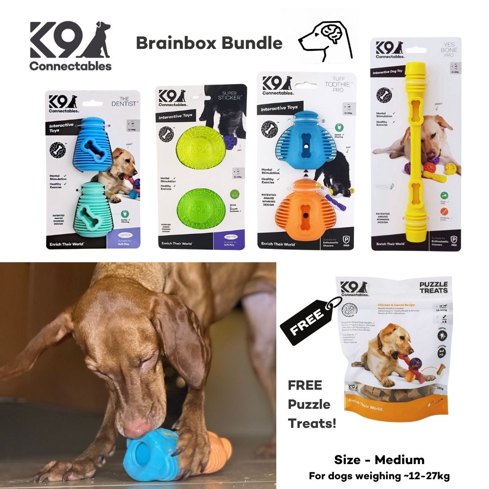 Brainbox Bundle