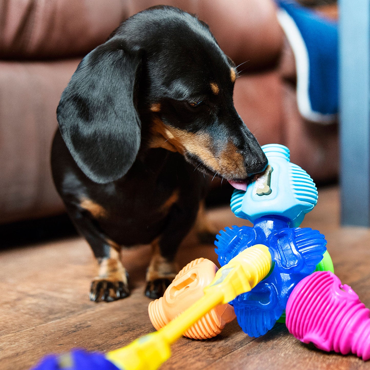 Ultimate Enrichment Kit