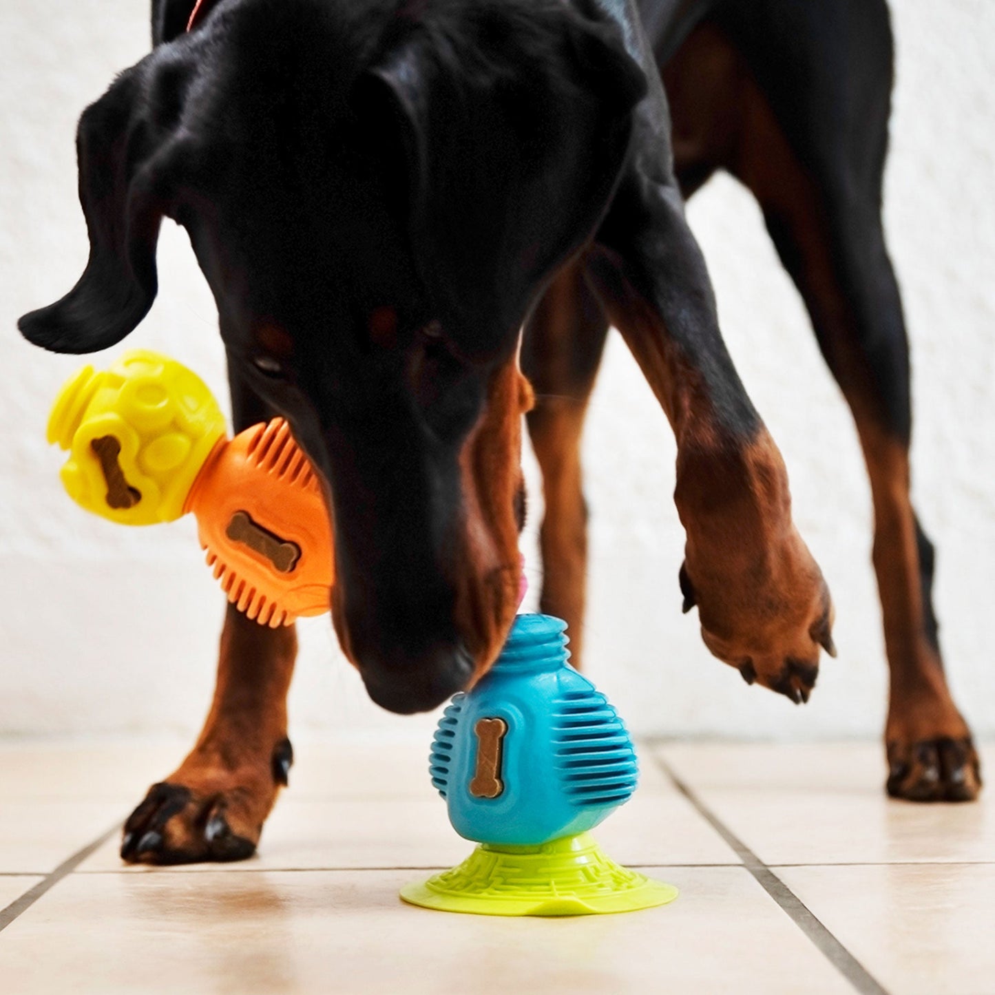Ultimate Enrichment Kit