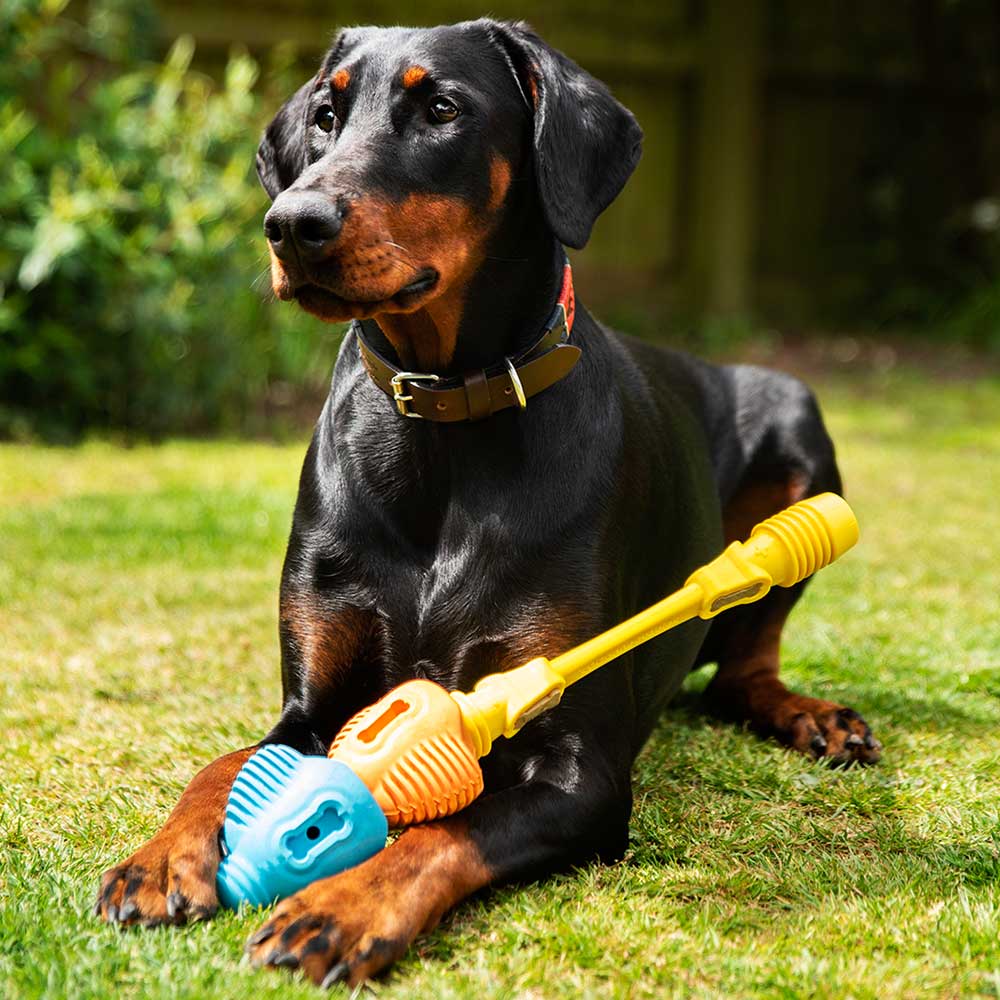Ultimate Enrichment Kit