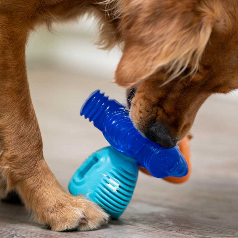 Ultimate Enrichment Kit