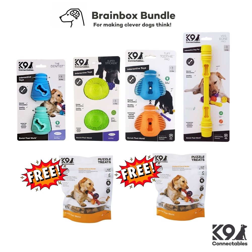 Brainbox Bundle