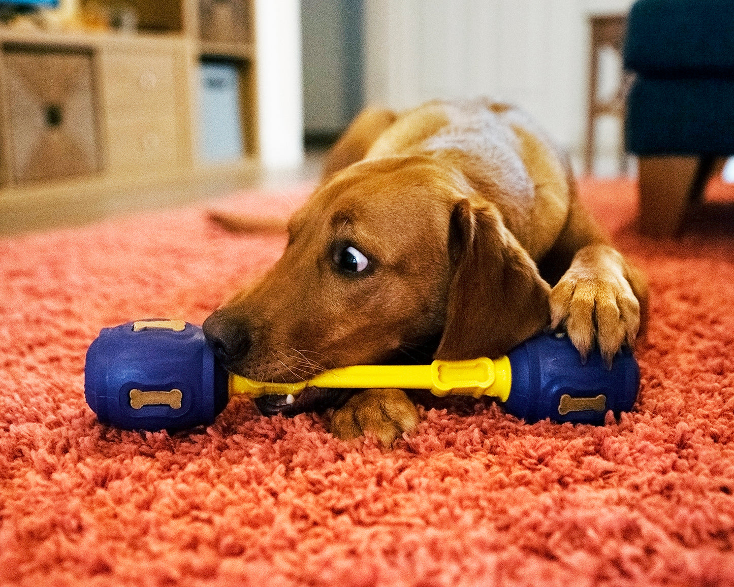 Pro Chewers Bundle