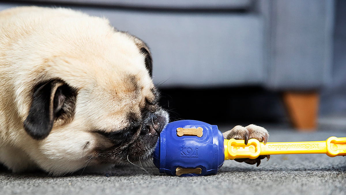 Pro Chewers Bundle
