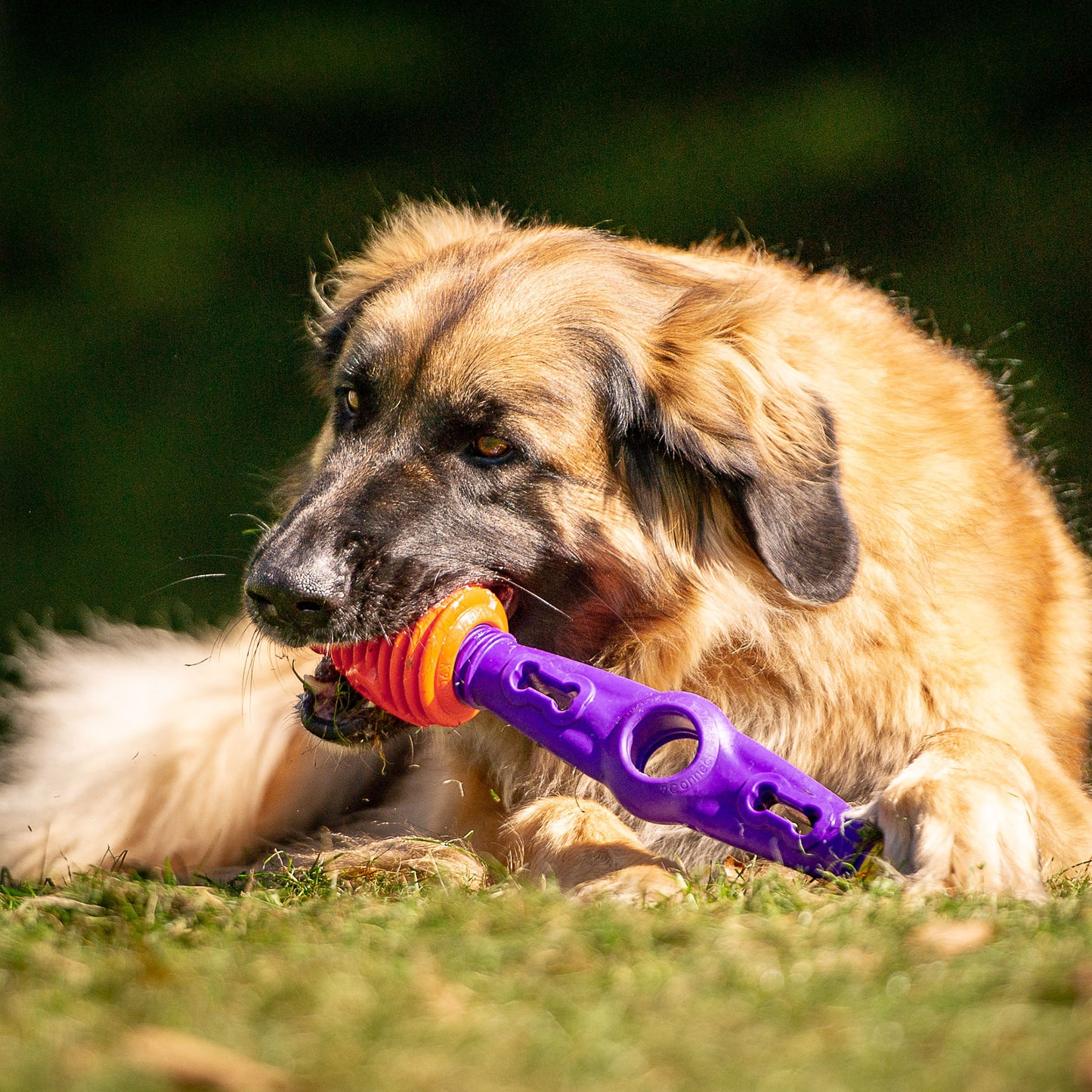 Tech Bone - Gentle Dog Toys
