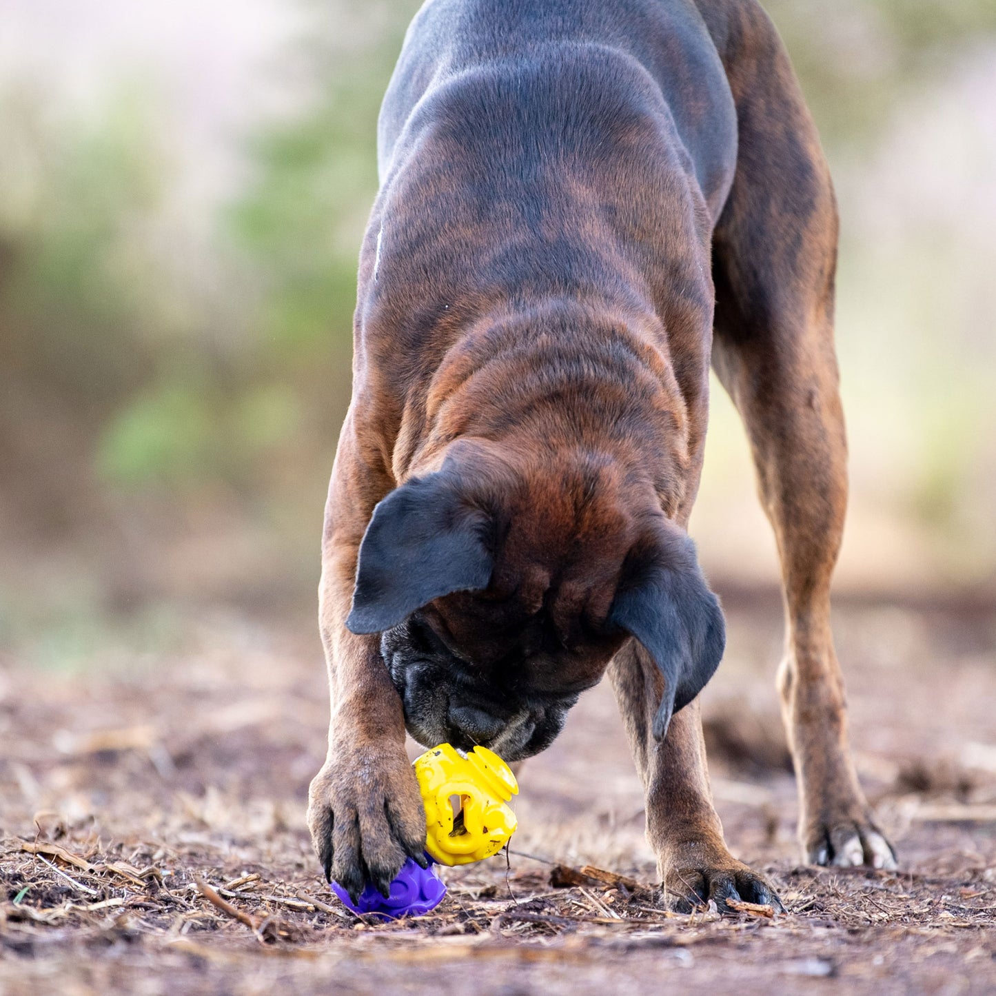 The Original - Gentle Dog Toys