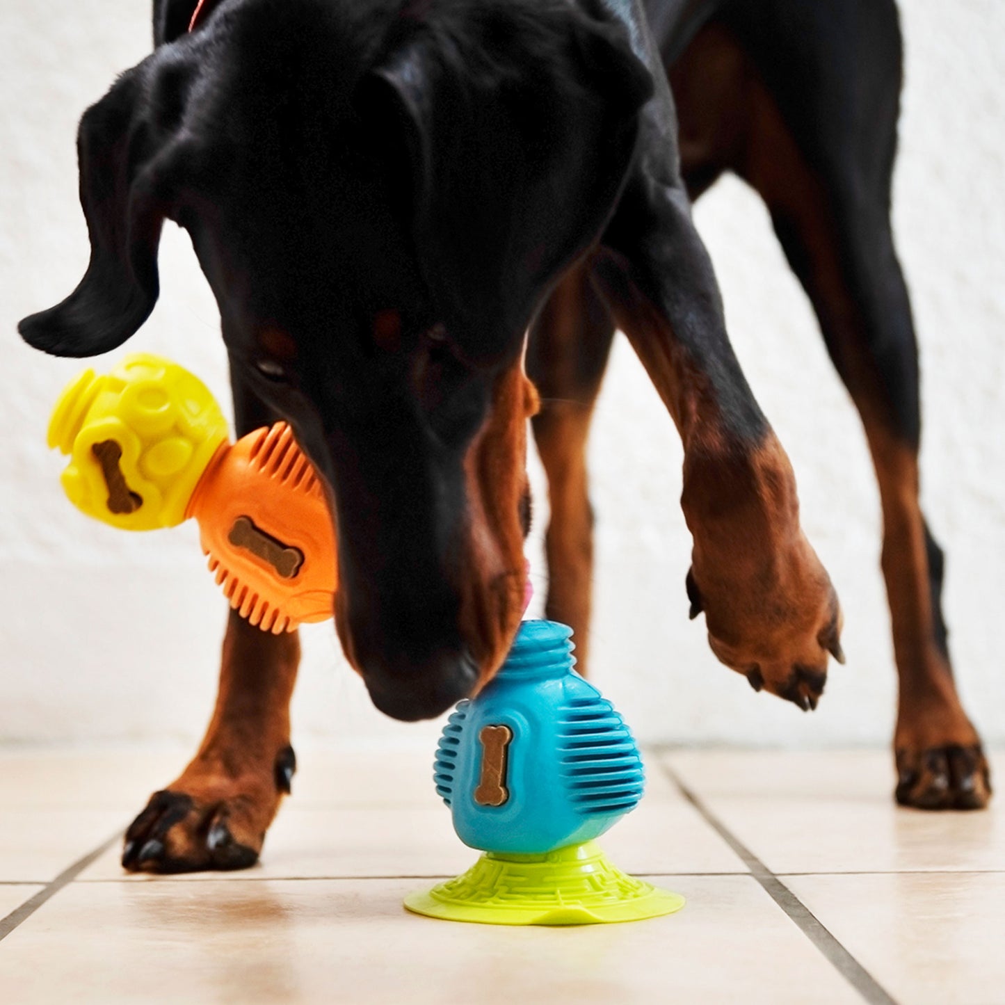 Super Sticker - Gentle Dog Toys