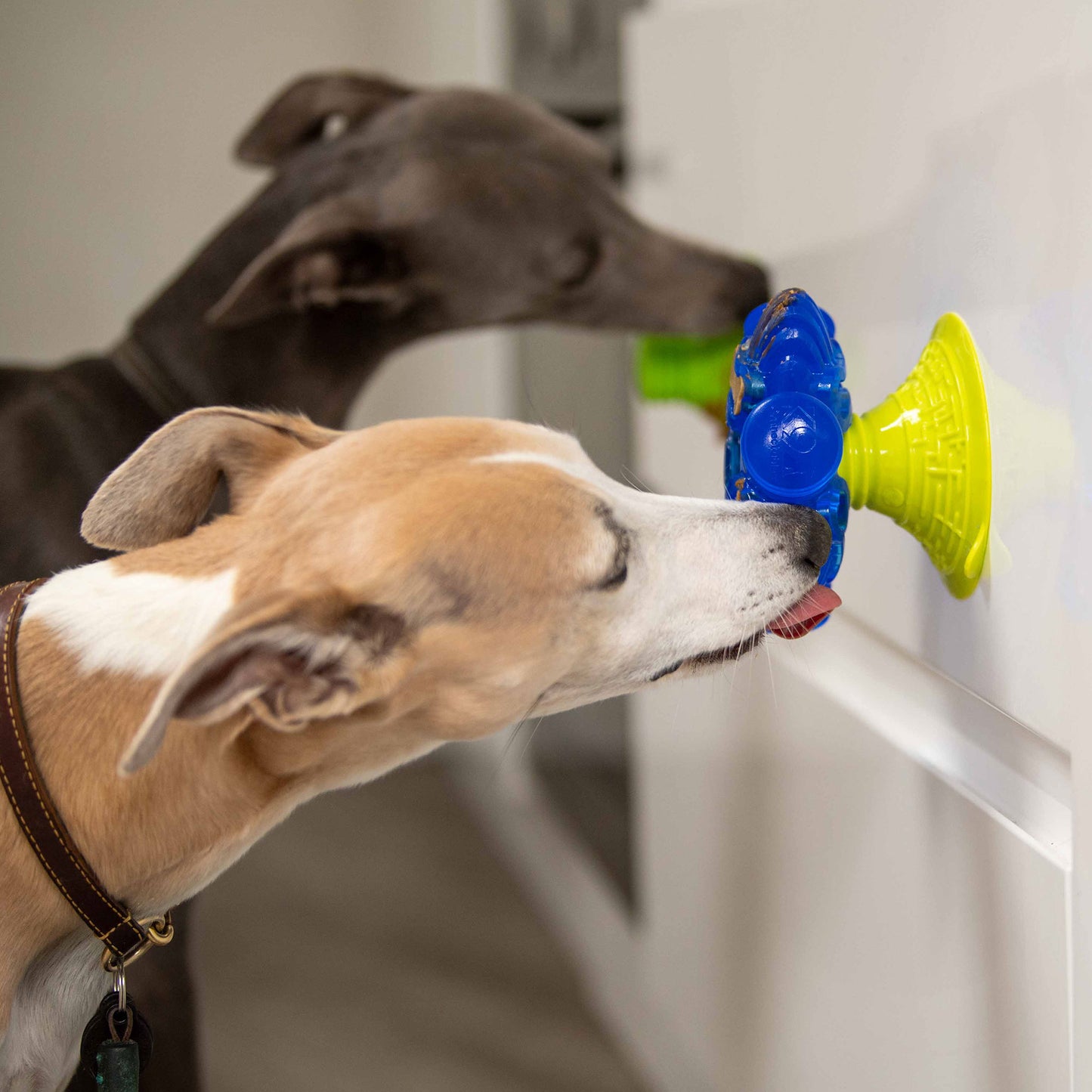 Super Sticker - Gentle Dog Toys