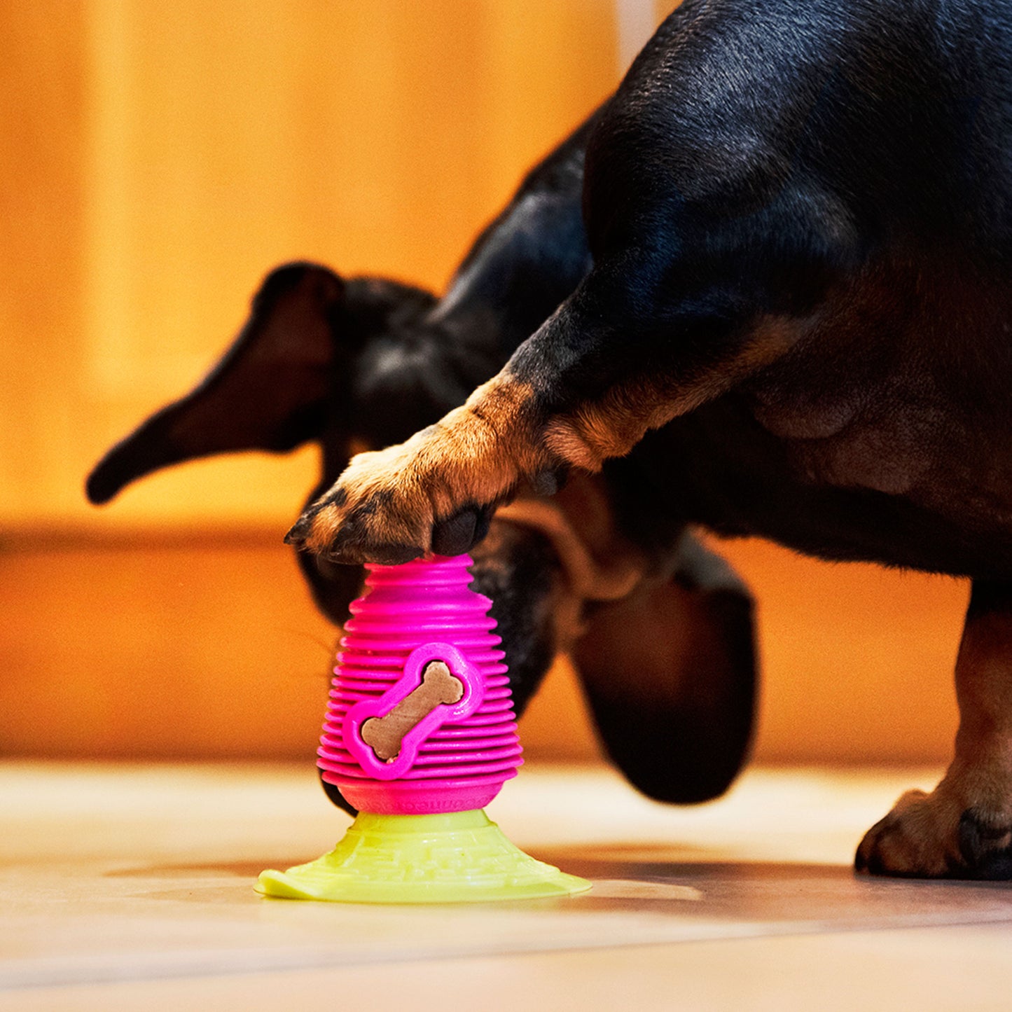 Super Sticker - Gentle Dog Toys