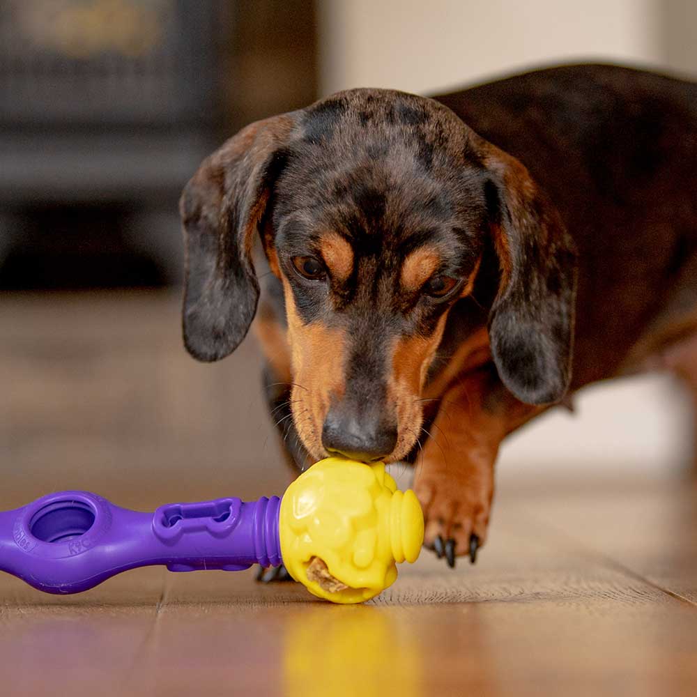 The Original - Gentle Dog Toys