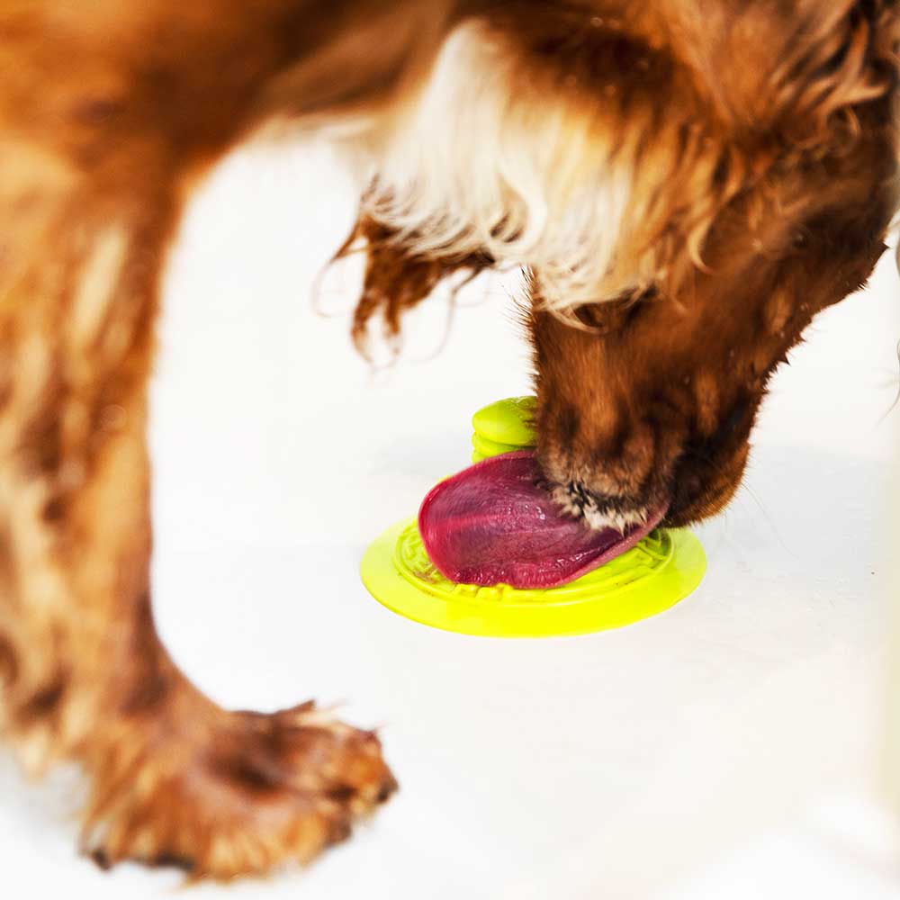 Super Sticker - Gentle Dog Toys