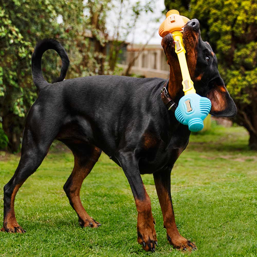 Tuff Toothie - Pro Dog Toys