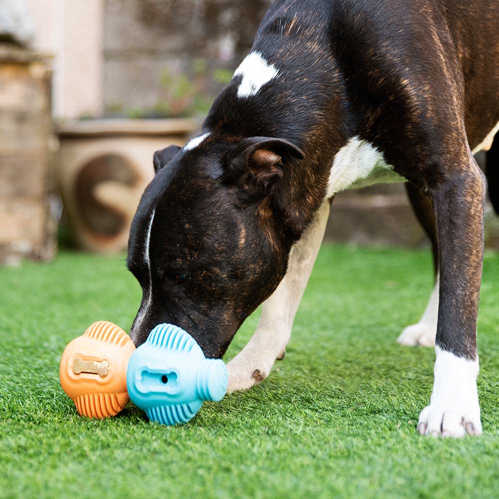 Tuff Toothie - Pro Dog Toys