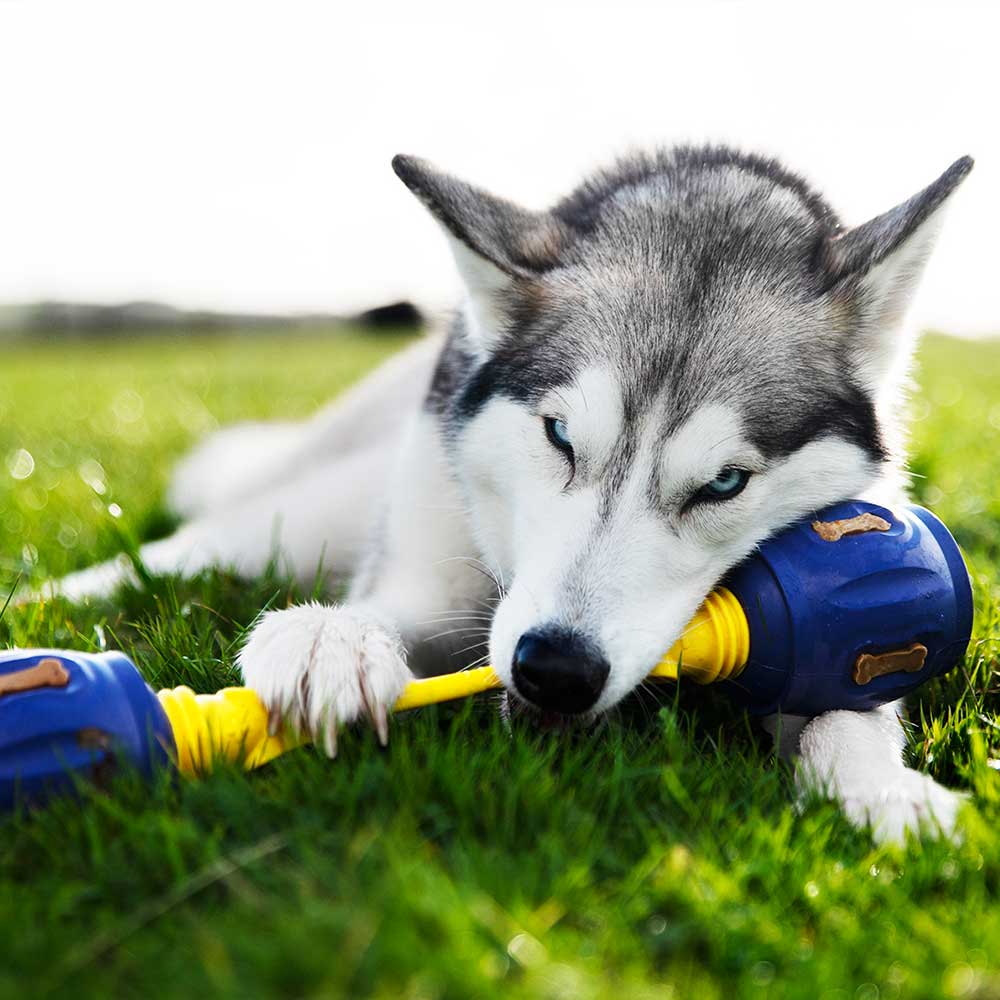 Yes Bone - Pro Dog Toys