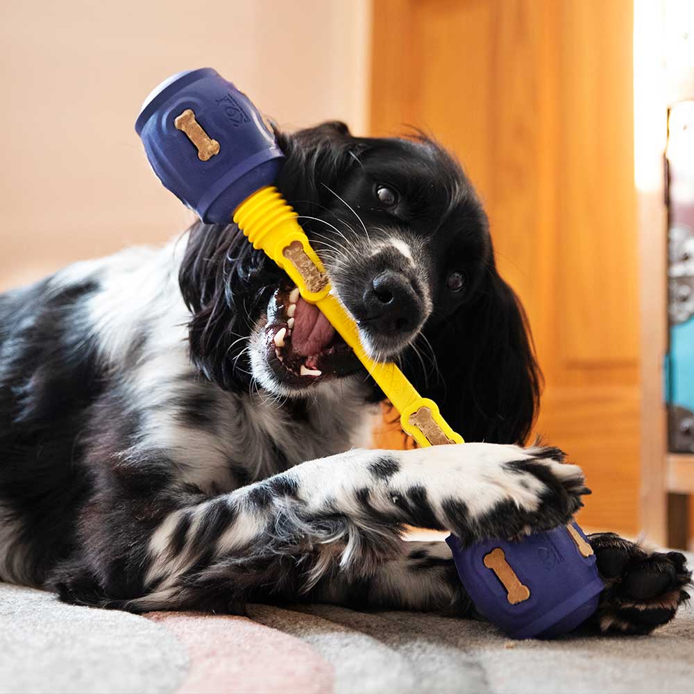Yes Bone - Pro Dog Toys