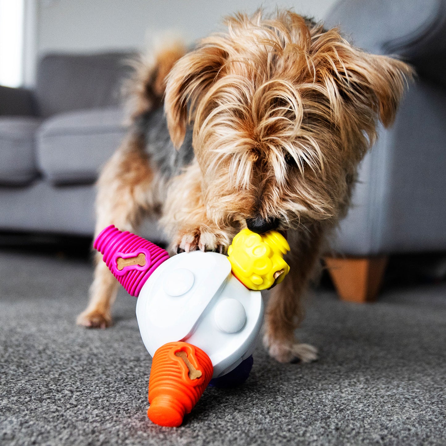 Kibble Connector - Dog Food Dispenser