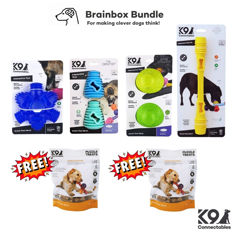 Brainbox Bundle