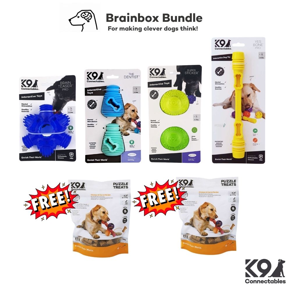 Brainbox Bundle