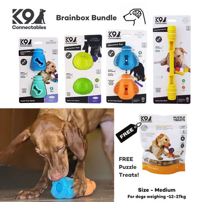 Brainbox Bundle