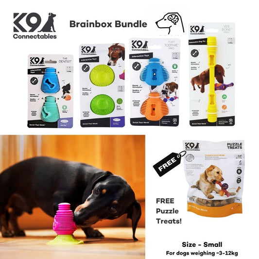 Brainbox Bundle