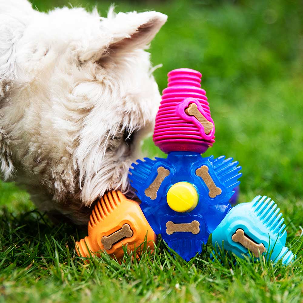 Best dog enrichment toys best sale