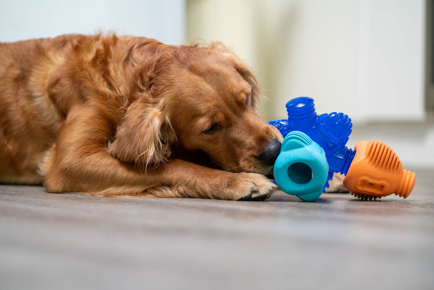 K9 Connectables Dog Toy Review, Enrichment Dog Toys