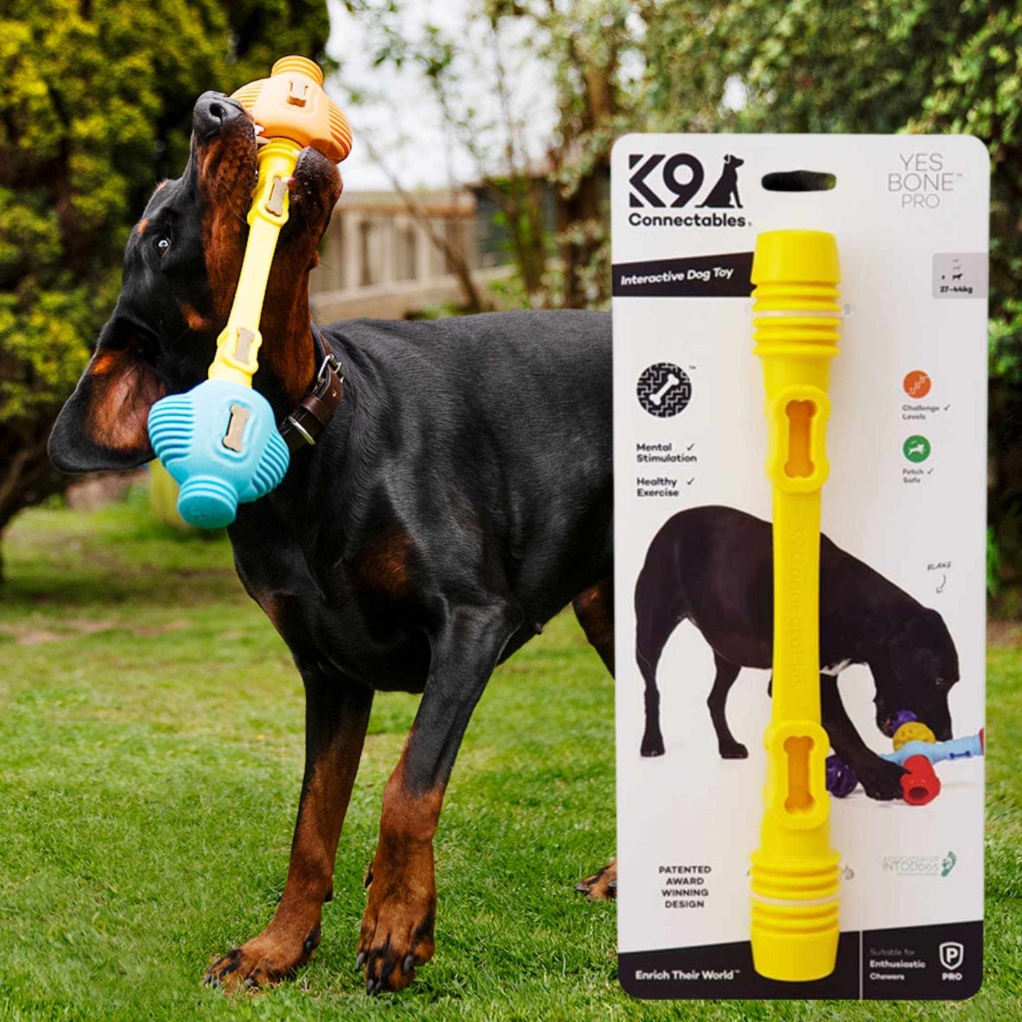 Yes Bone - Pro Dog Toys