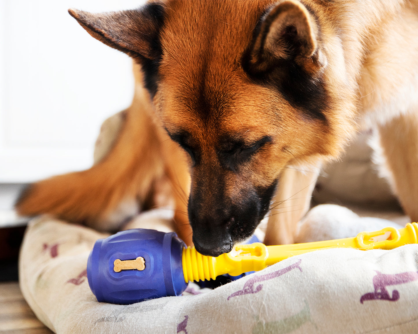 Christmas Chewers Bundle