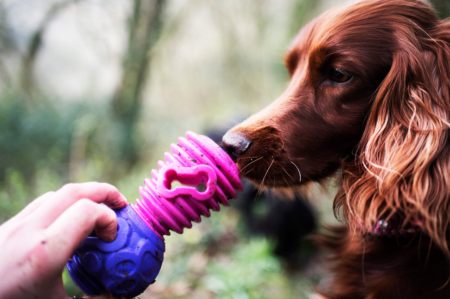 Gentle toys- Clever Clogs Bundle