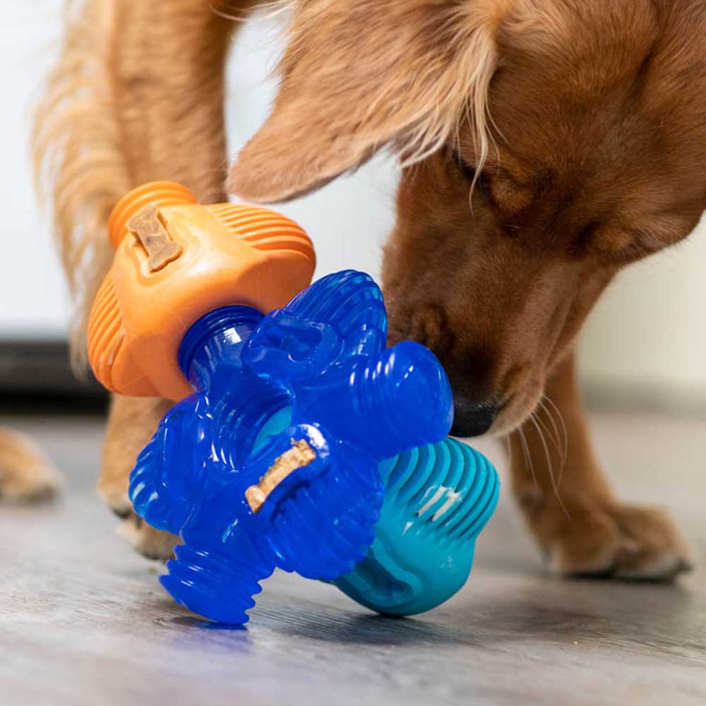 Brain Teaser - Pro Dog Toys – k9connectables.com
