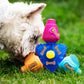 Brain Teaser - Pro Dog Toys