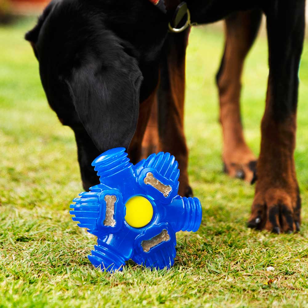 https://k9connectables.com/cdn/shop/products/K9Connectables-Brain-Teaser-Pro-Dog-Toy-4.jpg?v=1688650208&width=1445