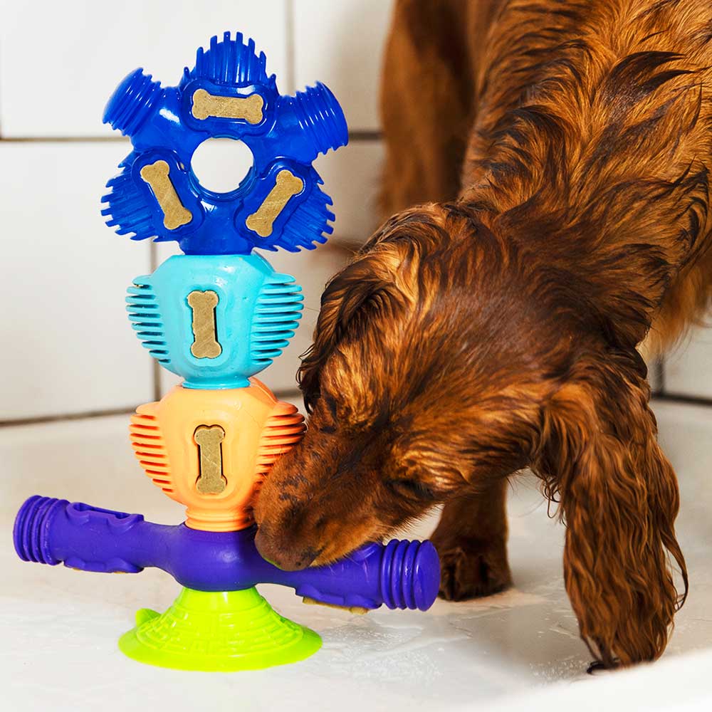 Brain Teaser - Pro Dog Toys –