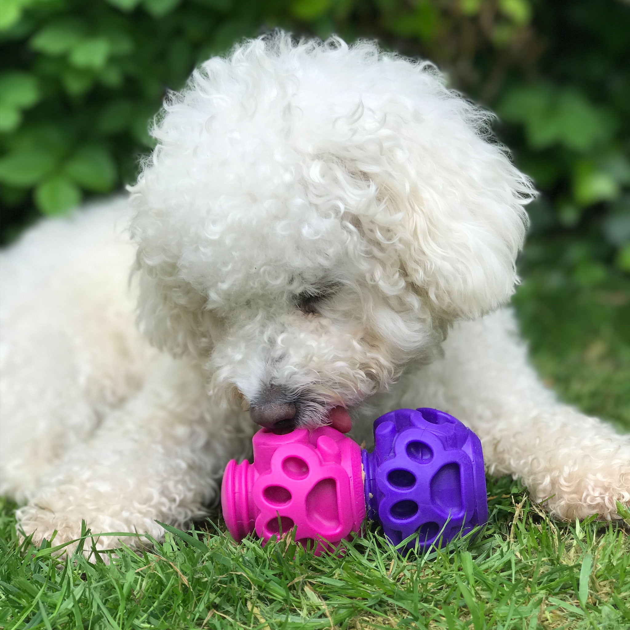 Pink dog shop toy original