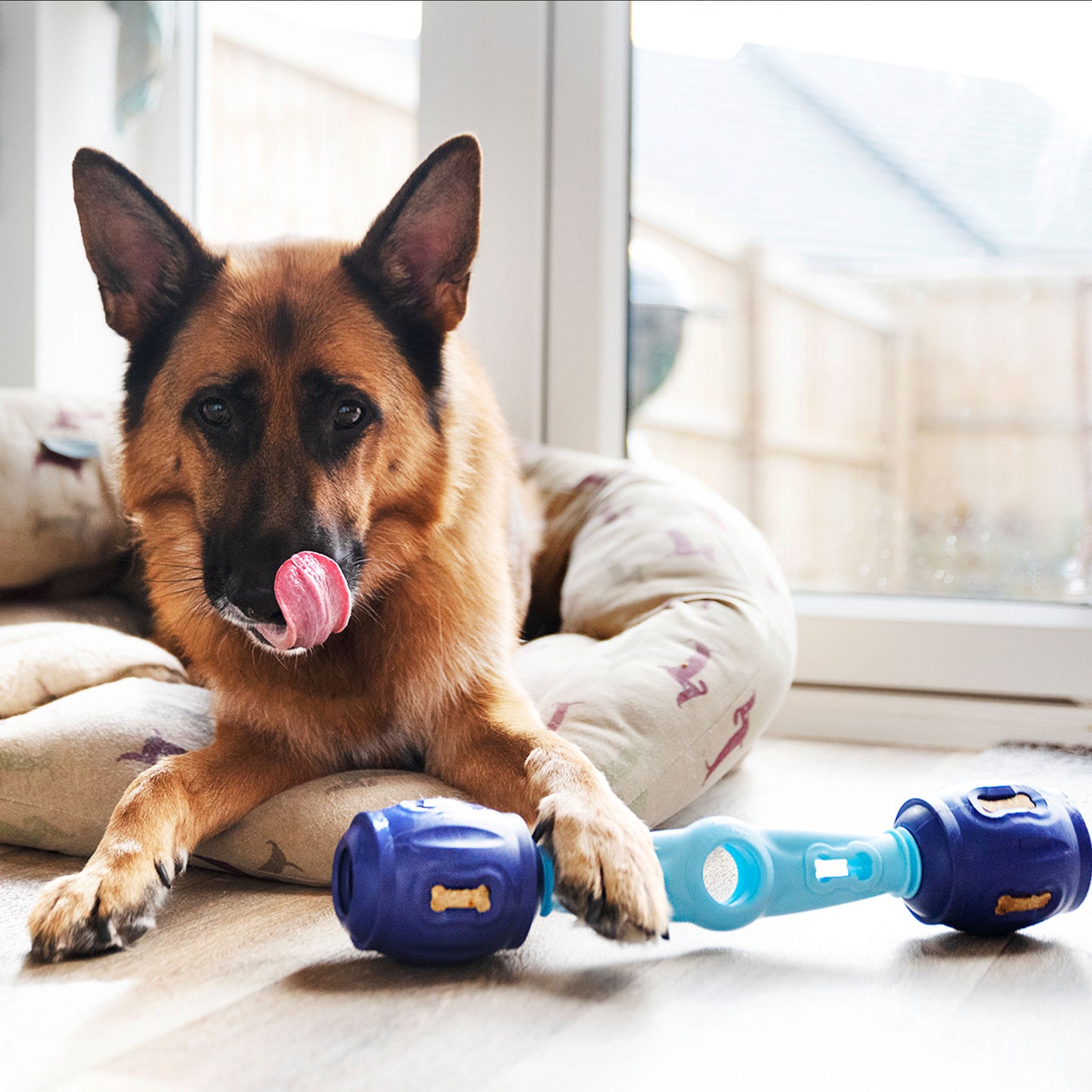 Tech Bone - Gentle Dog Toys