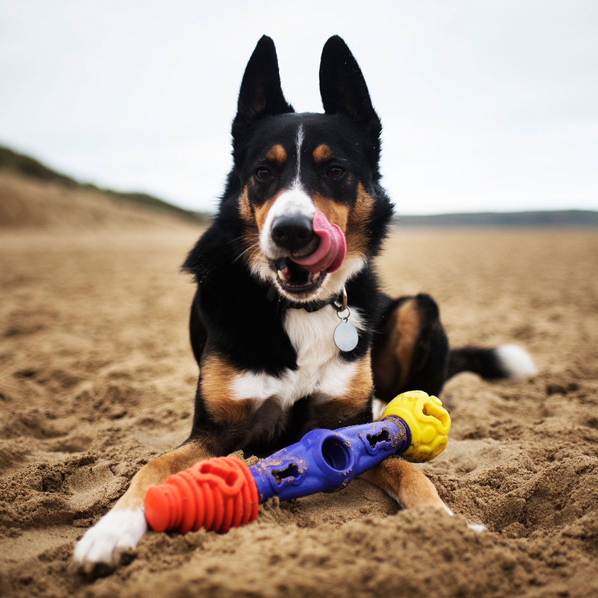 Tech Bone Gentle Dog Toys k9connectables