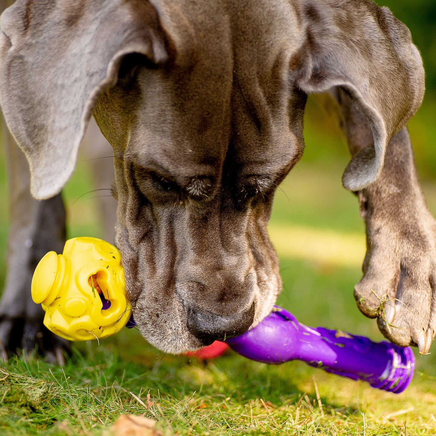 Tech Bone - Gentle Dog Toys