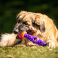 Tech Bone - Gentle Dog Toys