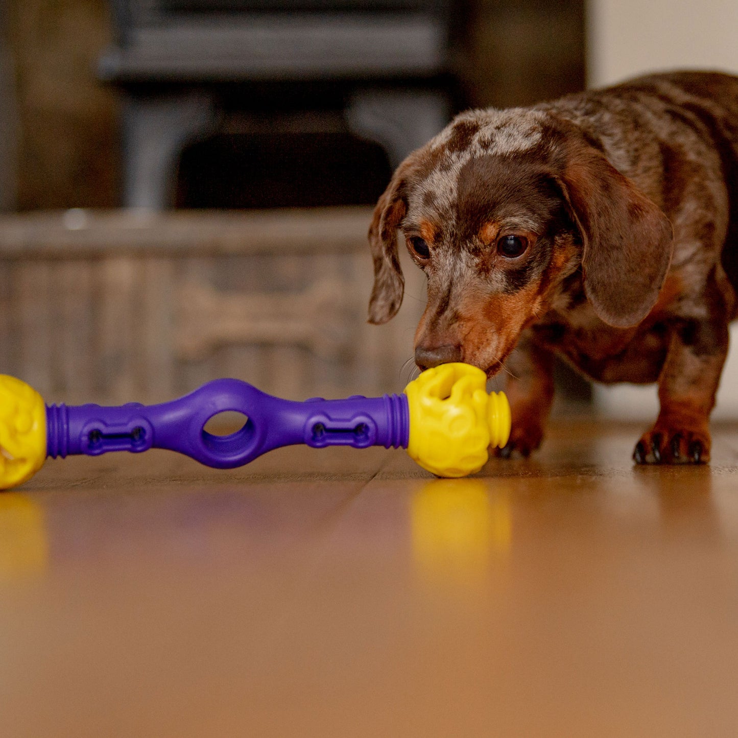 Tech Bone - Gentle Dog Toys