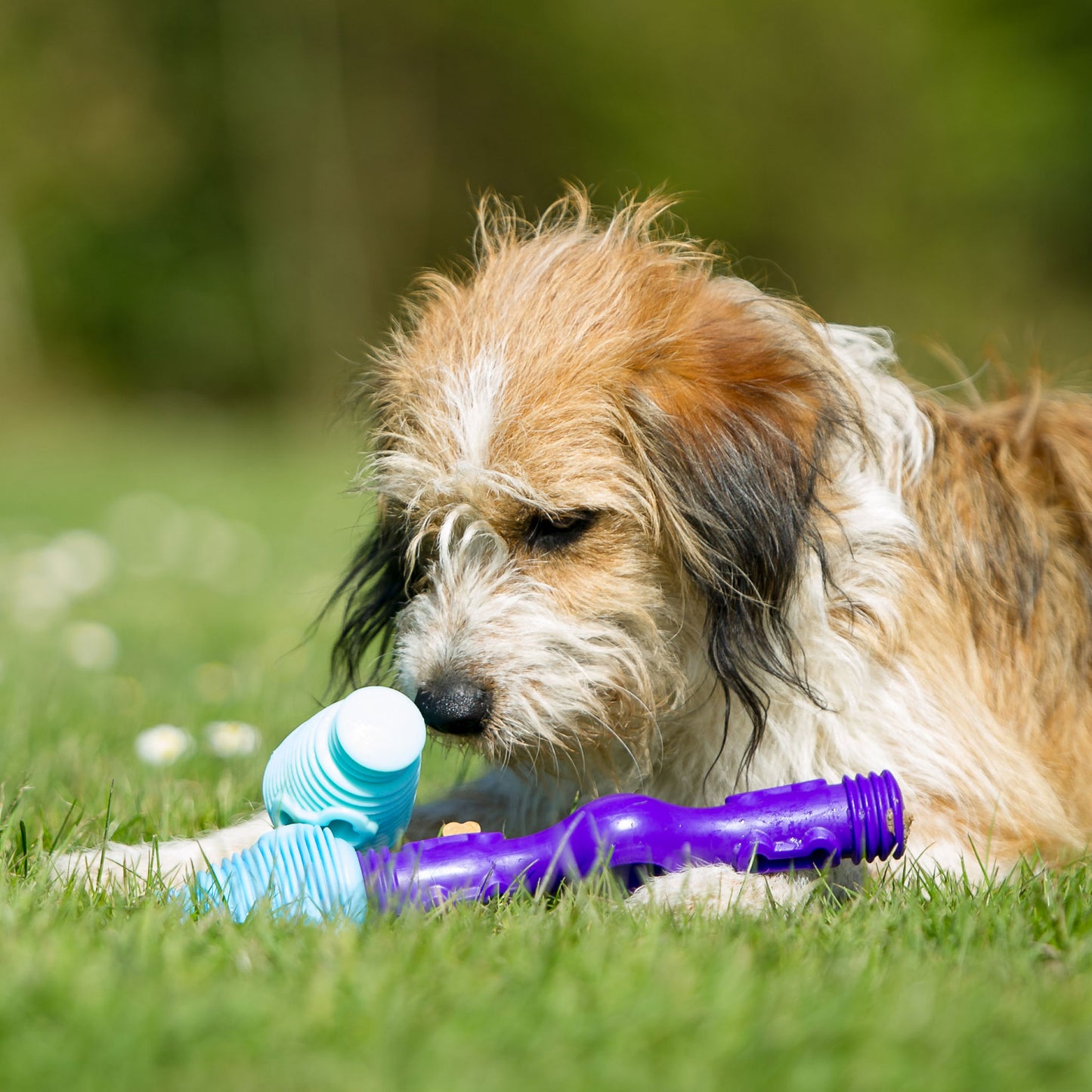 Tech Bone - Gentle Dog Toys