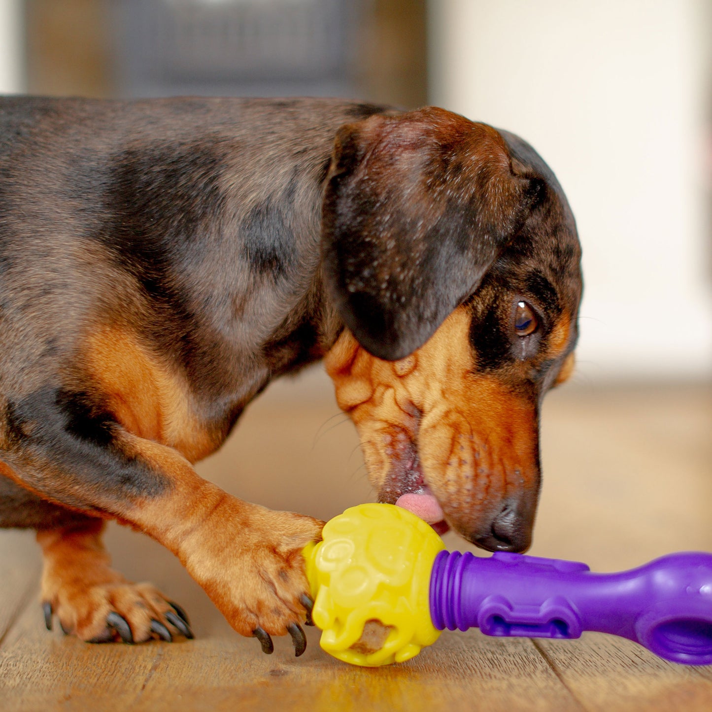 Tech Bone - Gentle Dog Toys