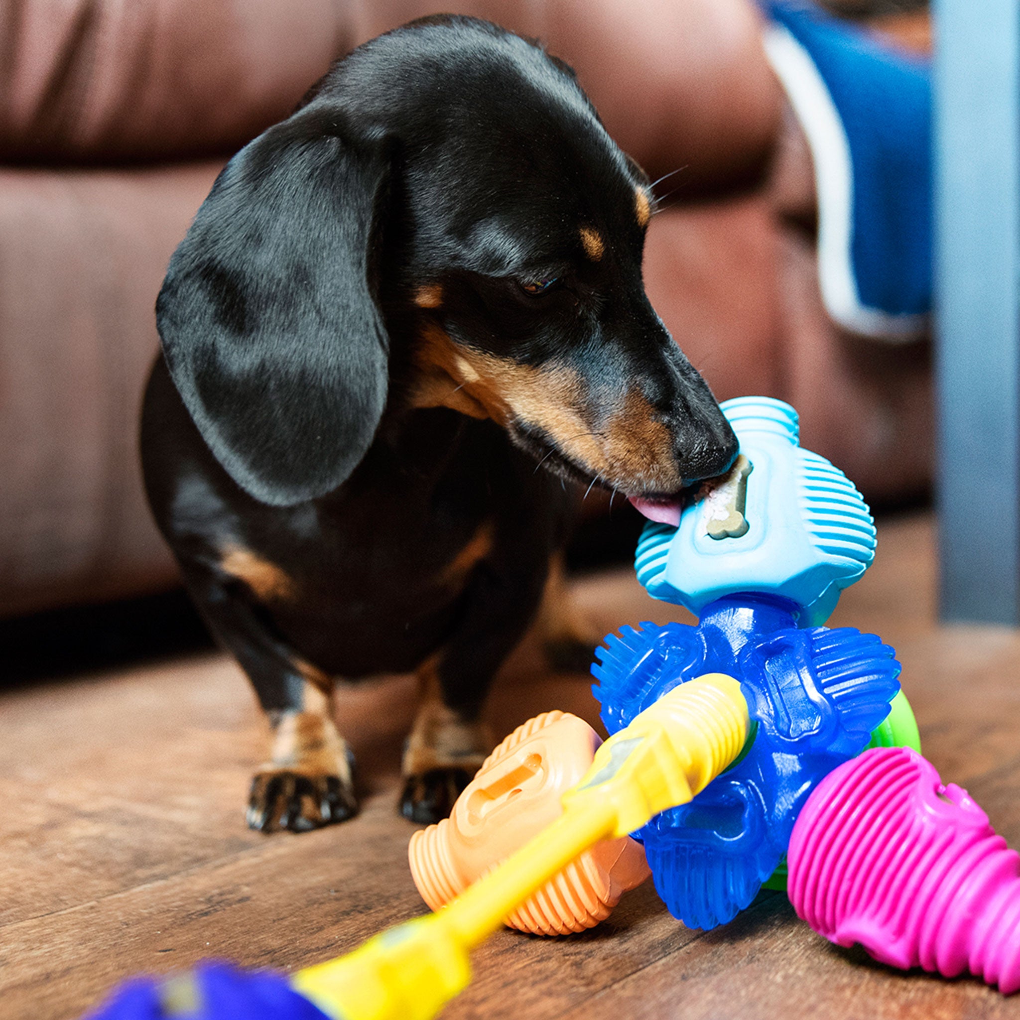 Dog best sale teaser toy