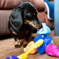 Brain Teaser - Pro Dog Toys