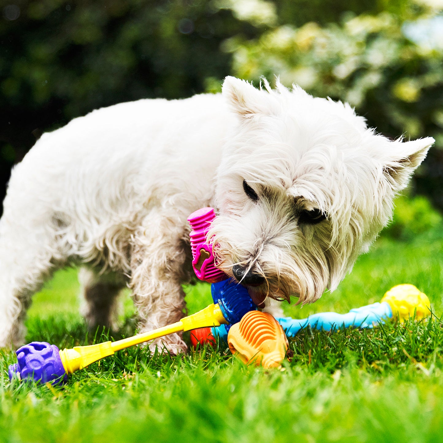 Yes Bone - Pro Dog Toys