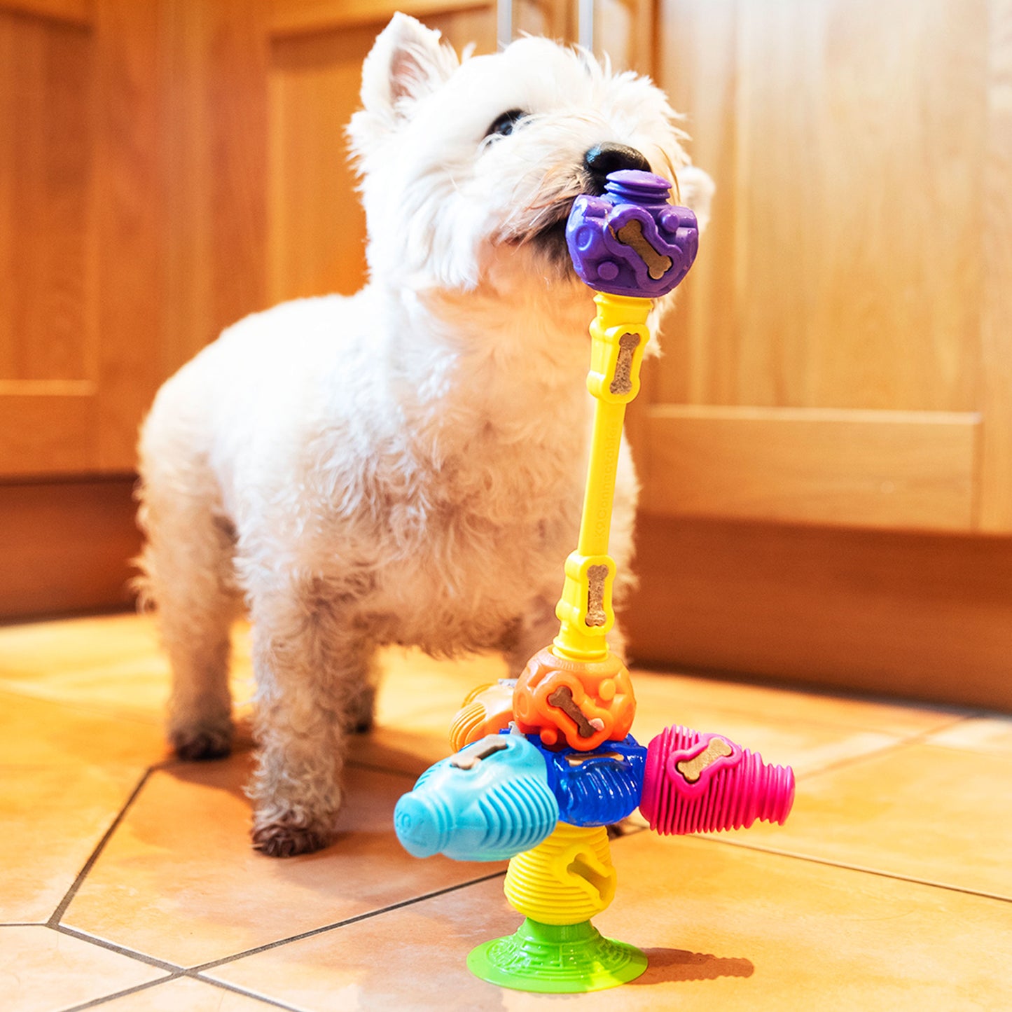 Yes Bone - Pro Dog Toys