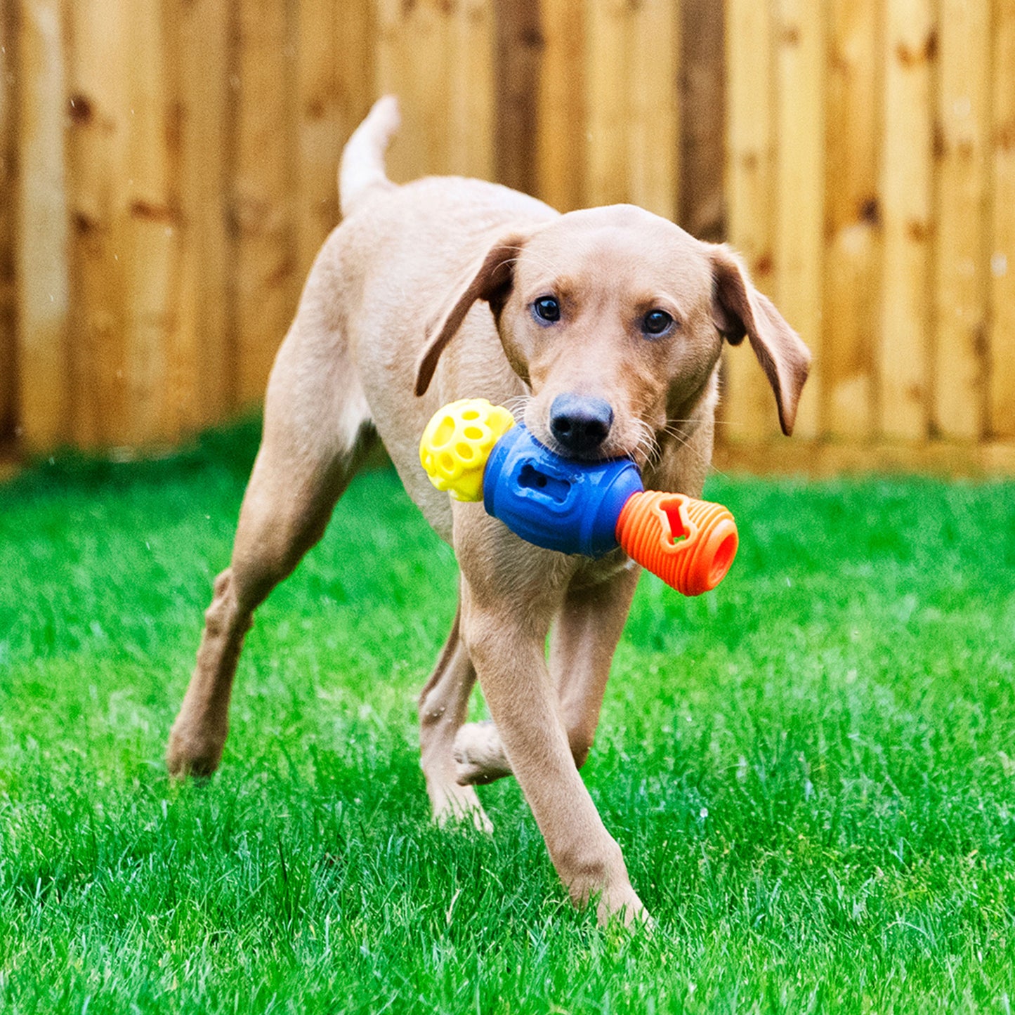 Tuff Stuffer - Pro Dog Toys