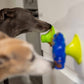 Super Sticker - Gentle Dog Toys