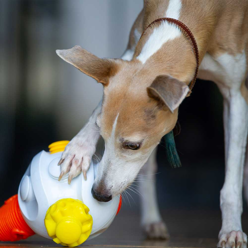 Kibble Connector - Dog Food Dispenser